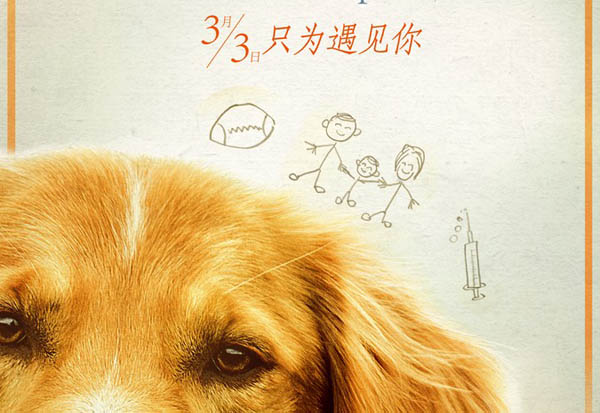 一条狗的使命经典台词对白盘点 中英文对照解